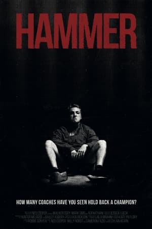 Hammer