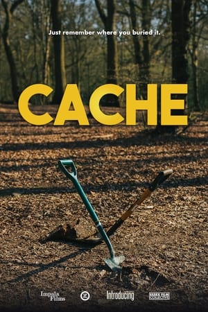 Cache