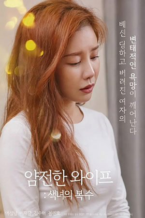 얌전한 와이프 : 색녀의 복수