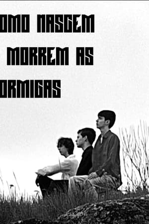 Como Nascem e Morrem as Formigas