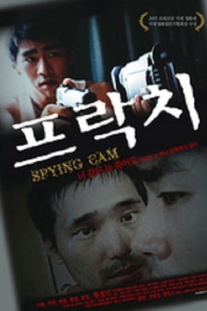 Spying Cam