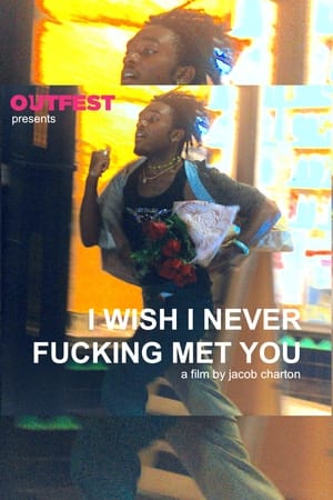 I Wish I Never Fucking Met You