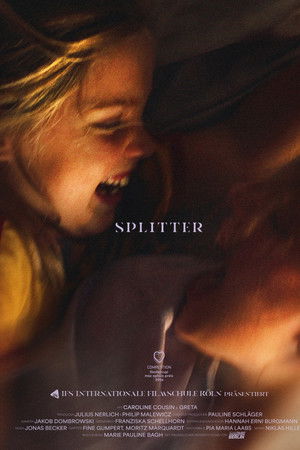 Splitter