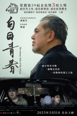 白日青春