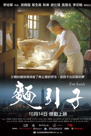 面引子