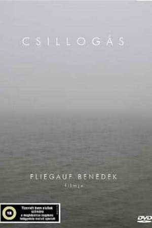 Csillogás