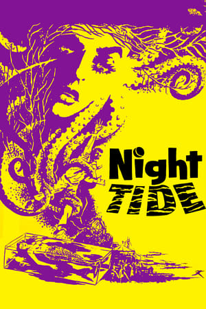 夜潮