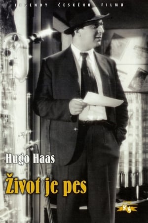 Život je pes
