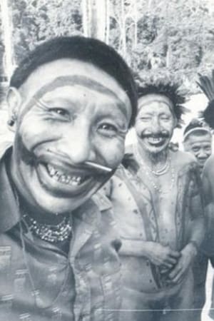Os Arara