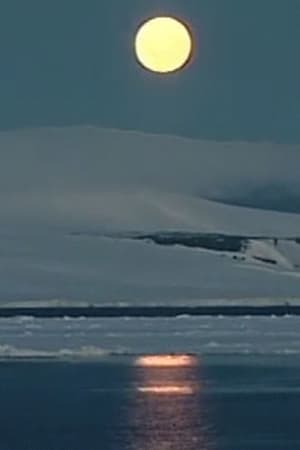 Antarctica: A Frozen History