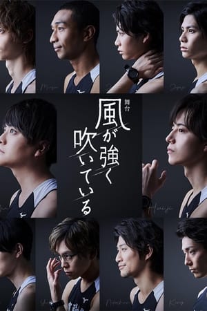 Run with the Wind Stage Play