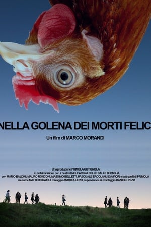 Nella Golena Dei Morti Felici