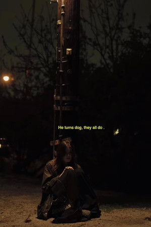 Dog.