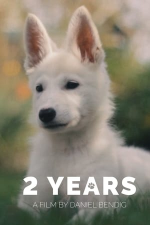 2 Years