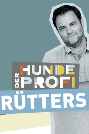 Der Hundeprofi - Rütters Team