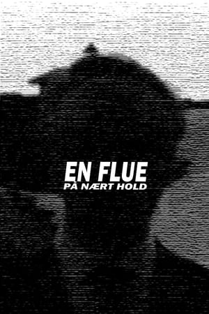 En Flue På Nært Hold