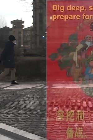 女男同性恋离婚记