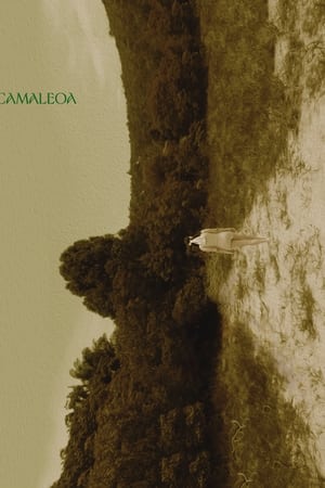 Camaleoa