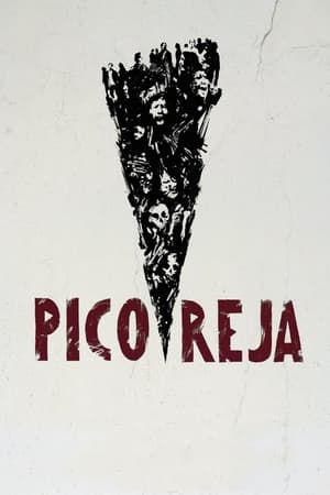 Pico Reja: la verdad que la tierra esconde