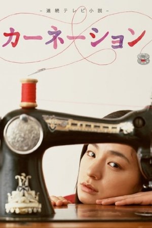 康乃馨