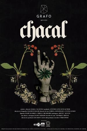 Chacal