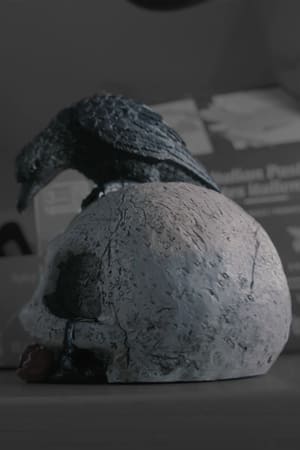 The Swanford Crows - First Encounter