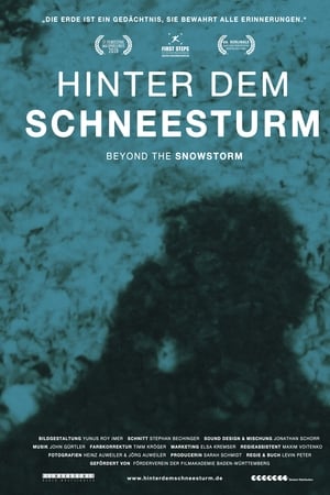 Hinter dem Schneesturm