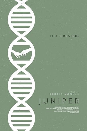 Juniper