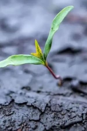 Auf dem Trockenen - Der Kampf ums Wasser geht weiter