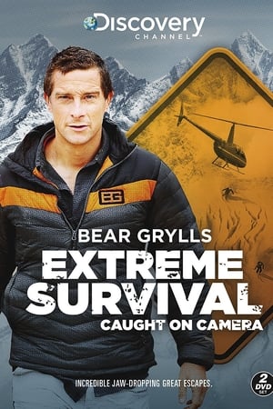 Bear Grylls: 镜头下的极限生存