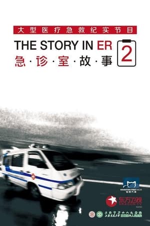 急诊室故事第2季
