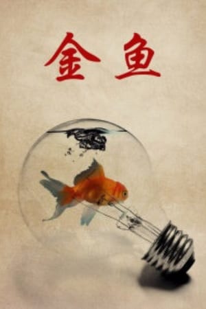 金鱼