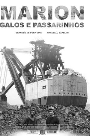 Marion, Galos e Passarinhos