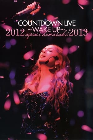 滨崎步 2012-2013 跨年演唱会A ～WAKE UP～