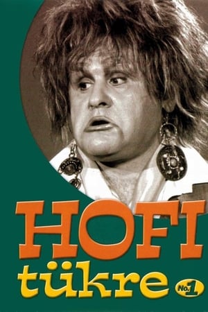 Hofi tükre No.1