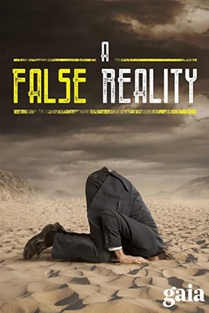 A False Reality