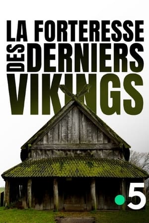 La forteresse des derniers Vikings
