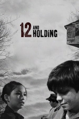 12岁的少年
