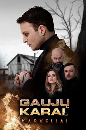 Gaujų karai第3季