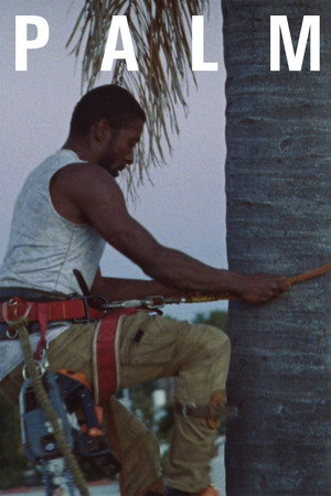 Palm