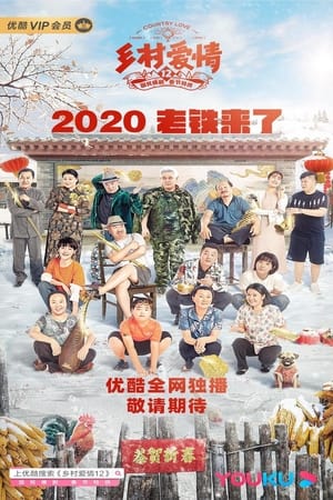 乡村爱情第12季