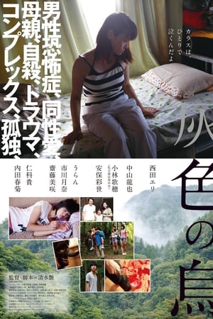 灰色乌鸦