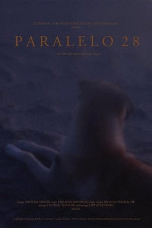 Paralelo 28