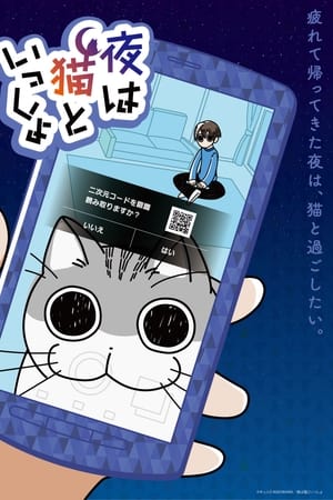 与猫共度的夜晚