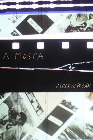 A mosca