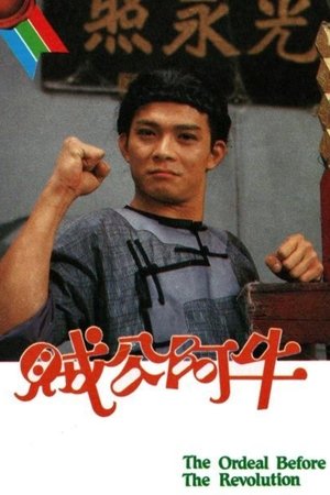 贼公阿牛