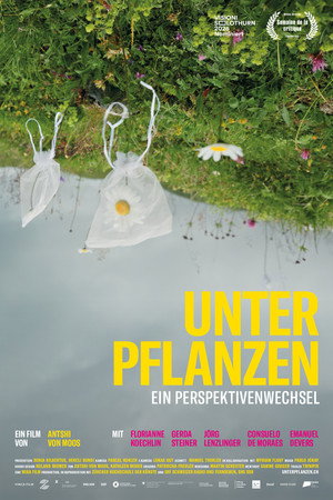 Unter Pflanzen – Ein Perspektivenwechsel