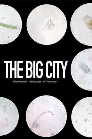 The Big City