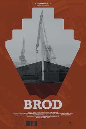 Brod