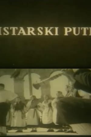Istarski puti